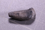 UC 60640 fossil2