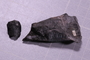 UC 60647 fossil