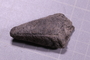 UC 9552 fossil