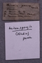 PE 91629 label