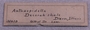 UC 35079 label