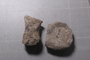 P 10994 fossil01e