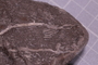 P 10998 fossil2