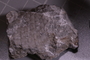 P 16089 a fossil2
