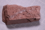 PE 16492 a fossil