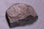 PE 18213 fossil