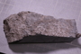 PE 18215 fossil