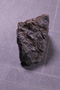 PE 18222 fossil