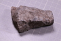 PE 18234 fossil