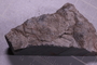 PE 18234 fossil2