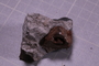 PE 18235 fossil2