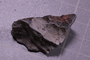 PE 18239 fossil