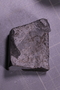 PE 18243 fossil