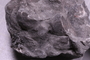 PE 18252 fossil2