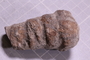 PE 5766 fossil