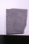 UC 23725 a fossil