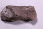 UC 44379 fossil2