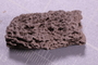UC 44912 fossil3