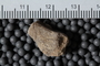 PE 92006 fossil4