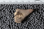 UC 1867 fossil4