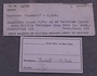 2021 Summer IMLS Ordovician Digitization Project. Sponge label