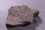 PE 24653 fossil2
