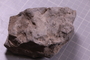 PE 24656 fossil2