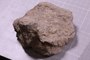 PE 24697 fossil