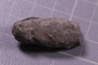 PE 24706 fossil