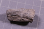 PE 24710 fossil2