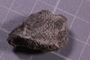 PE 24712 fossil