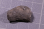PE 24740 fossil