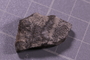 PE 24741 fossil