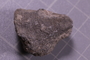 PE 24746 fossil
