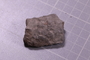 PE 24760 fossil