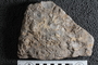 PE 4122 fossil