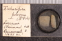 UC 17695 slide
