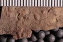 UC 39778 fossil2
