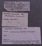 PE 91681 label