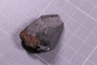 PE 24840 fossil2