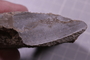 PE 24844 fossil2