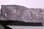 PE 91645 fossil2