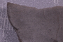 PE 91651 fossil2