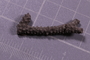 PE 91657 fossil2
