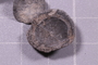 PE 91661 fossil4