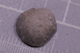 PE 91661 fossil6