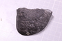 PE 91669 fossil2