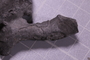 PE 91675 fossil4