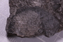 PE 91676 fossil2