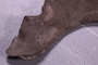 PE 91679 fossil2